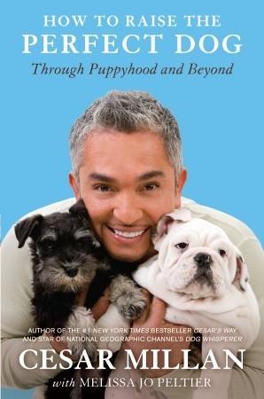 How to Raise the Perfect Dog: Through Puppyhood and Beyond - Cesar Millan with Melissa Jo Peltier
