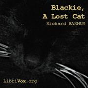 Blackie, A Lost Cat