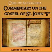 Commentary on the Gospel of John, Book 1