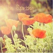 In Spring