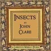 Insects