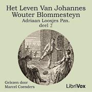leven van Johannes Wouter Blommesteyn - deel 2