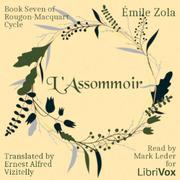 L'Assommoir, Book Seven of Rougon-Macquart Cycle