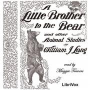 Little Brother to the Bear