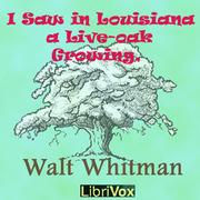 I Saw in Louisiana a Live-Oak Growing