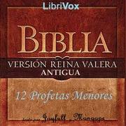 Bible (Reina Valera) 28-39: Los 12 Profetas Menores