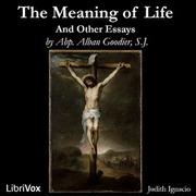 Meaning of Life and Other Essays