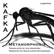 Metamorphosis (version 2)