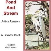 Pond And Stream