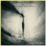 Shadow of the Unseen