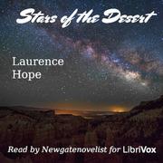 Stars of the Desert