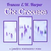 Crocuses