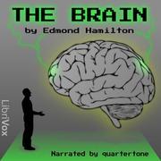 Brain