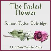 Faded Flower