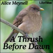 Thrush Before Dawn
