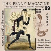 Penny Magazine of the Society for the Diffusion of Useful Knowledge, issue 29