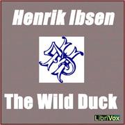 Wild Duck