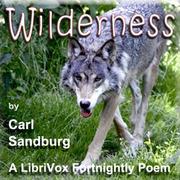 Wilderness