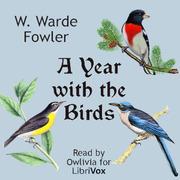 Year with the Birds