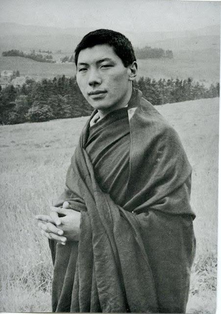 Chogyam Trungpa Mega Pack - Chogyam Trungpa