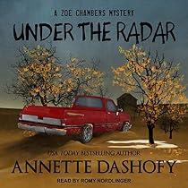 Under the Radar (Zoe Chambers Mysteries #9) - Annette Dashofy