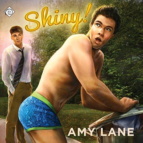 Shiny! - Amy Lane