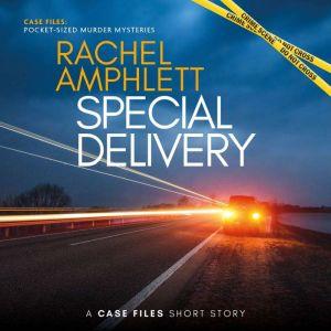 Special Delivery: A short crime fiction story (Case Files) - Rachel Amphlett